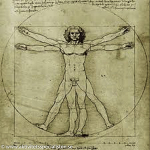 Da Vinci bild